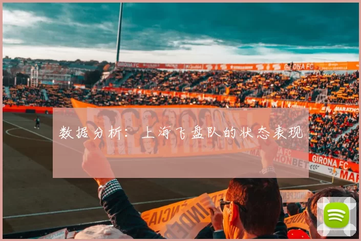 数据分析：上海飞盘队的状态表现