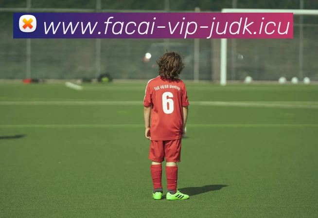 乐鱼体育平台生态图