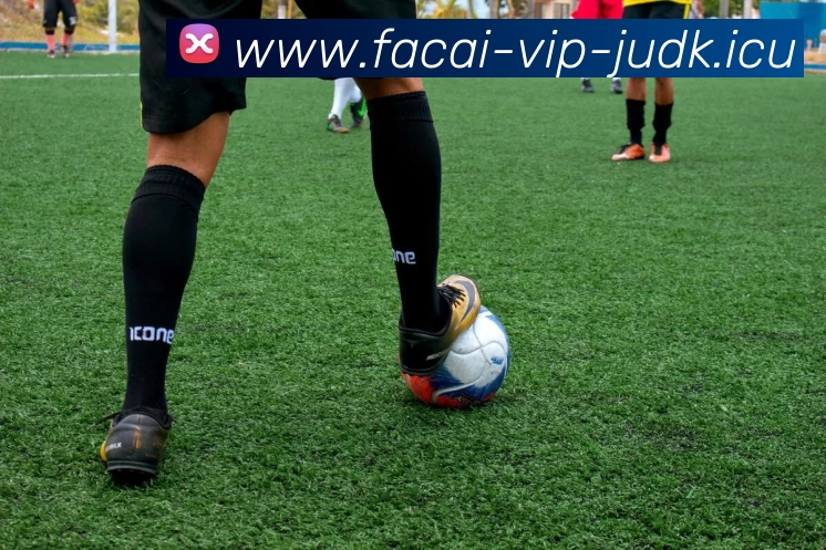 乐鱼体育APP 封面图